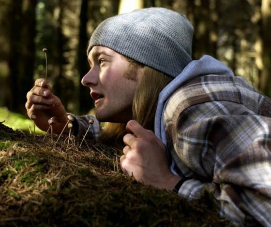 Назван гриб, за сбор которого жителям грозит тюремный срок