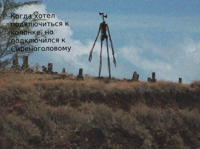 Photo: Social Networks
