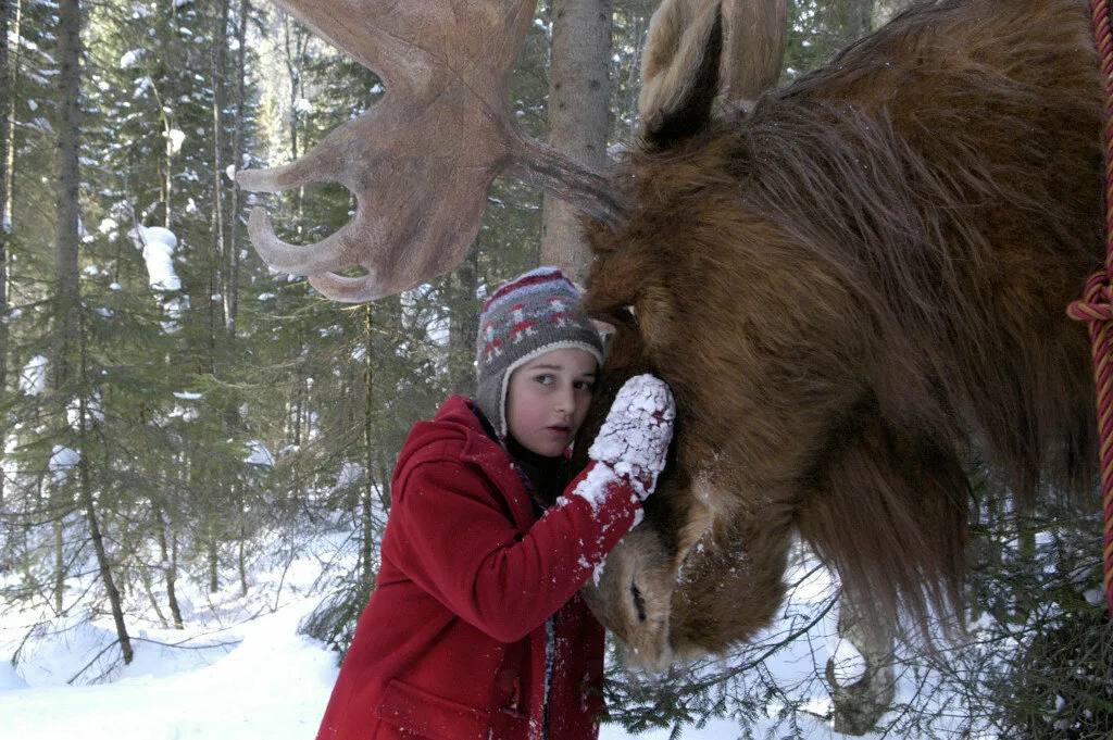 Elk Ilyusha, who suffered in an accident near Moscow, died of injuries