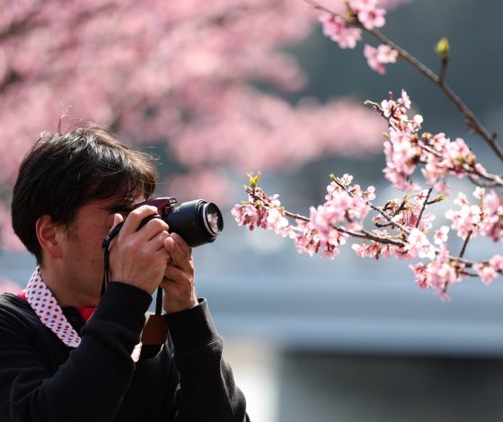 Люди отказываются ехать в Японию из-за предсказаний в комиксах