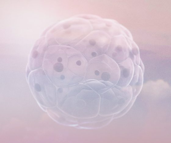 «За рождение»: новые технологии ЭКО