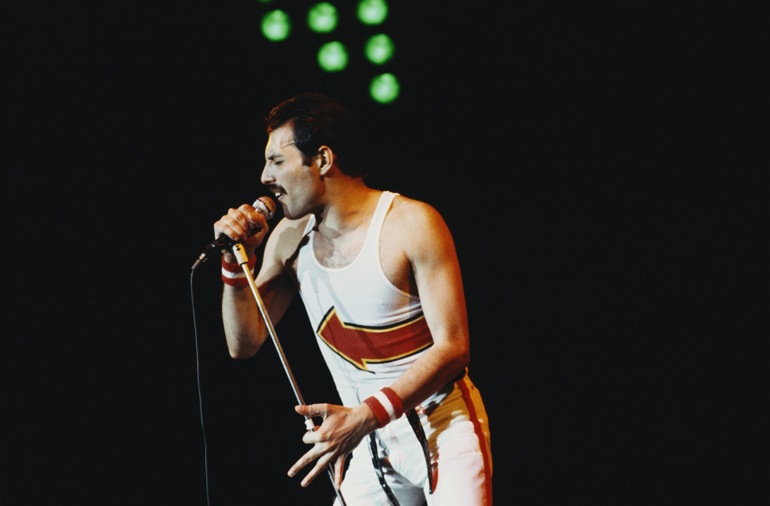 Freddie Mercury’s illegitimate daughter passed a DNA test and found the truth