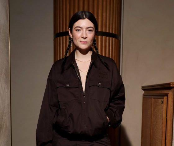 Певицу Лорд задержала полиция