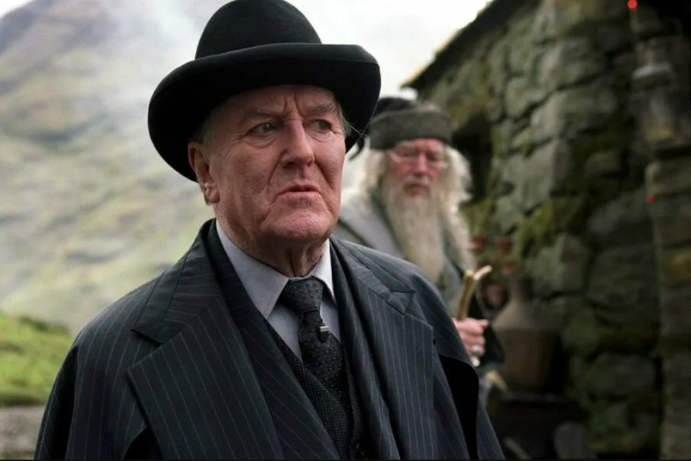 The new Harry Potter was declared an actor for the role of Magic Minister