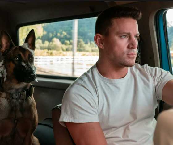 У владельцев собак и их питомцев есть неожиданное сходство