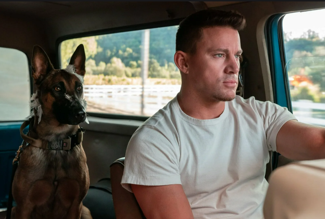 Owners of dogs and pets have an unexpected similarity