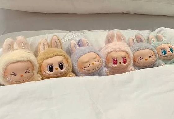 Стала известна стоимость самого дорогого Лабубу в мире