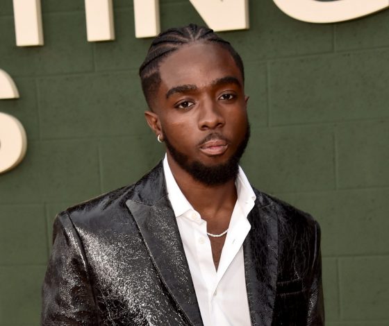 Звезда «Очень странных дел» рассказал об эмоциях после завершения проекта