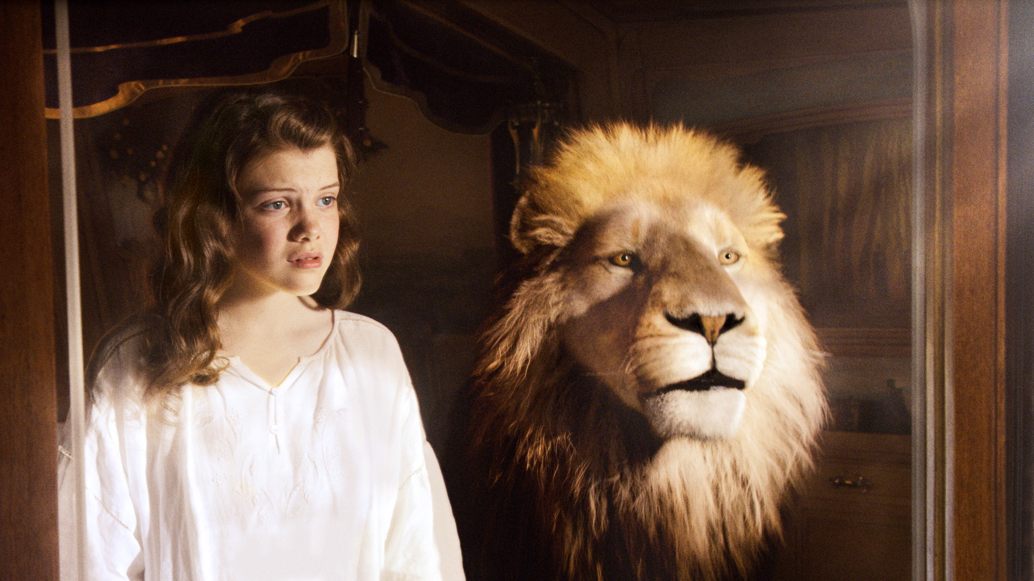 The new “Narnia Chronicle” was transferred