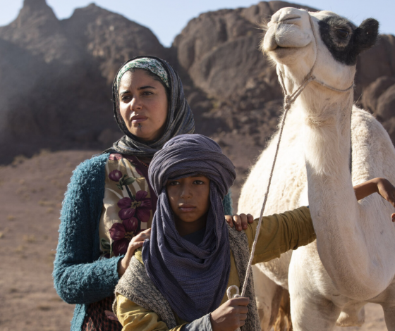 В самой сухой пустыне мира выпал снег
