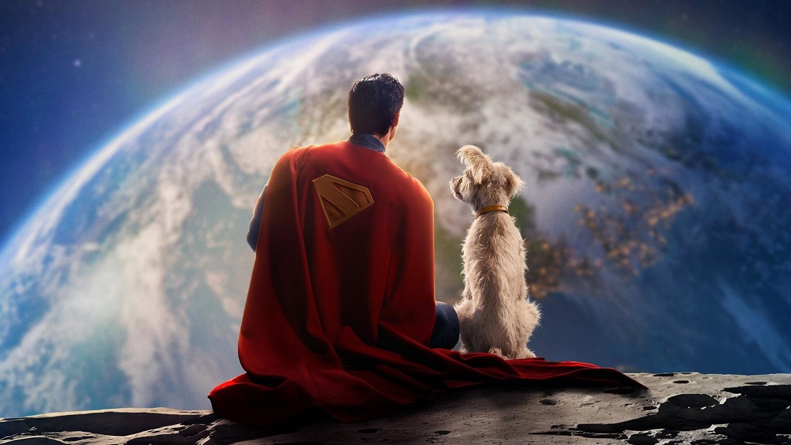 After the new “superman” version, the audience began to adopt dogs to a large extent