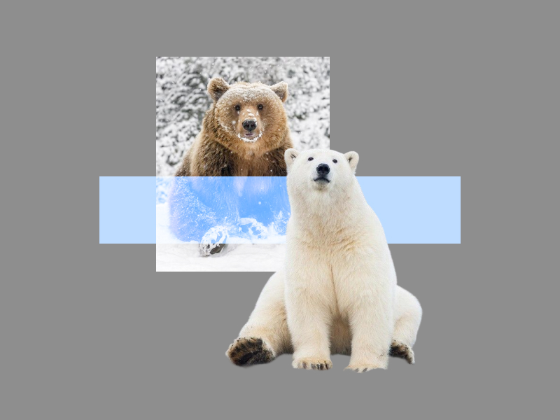 Heating in Arctic combined white and brown bears