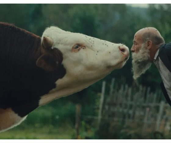 Назван победитель международного кинофестиваля в Карловых Варах