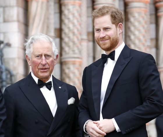 Принц Гарри и король Карл III делают первые шаги к воссоединению