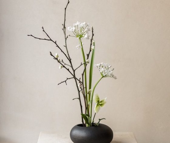 В TikTok новый тренд: девушки создают икебаны