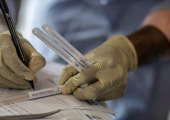 Генетические тесты стали новым символом статуса