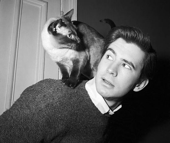 Исследователи изучают возможность общения с животными с помощью ИИ