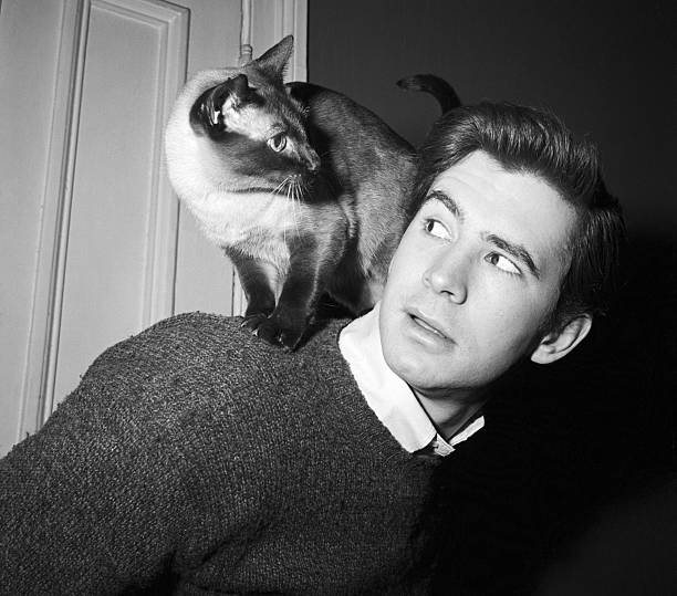 With the help of AI, the British Research Center will examine the possibility of communicating with pets.