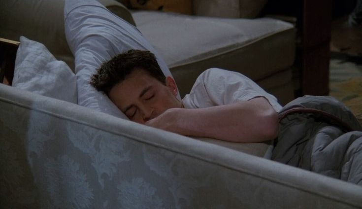 How do they “arrange” memories during brain sleep
