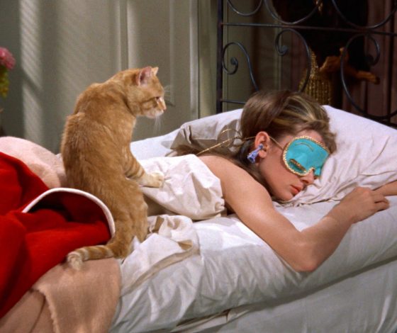 Как простые слова по утрам помогают сохранять внутренний баланс