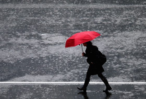 Московский климат становится все более похожим на субтропический