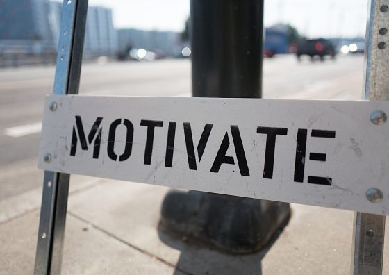 Произведение искусства, созданное из дорожных знаков, выиграло приз в 100 тыс долларов