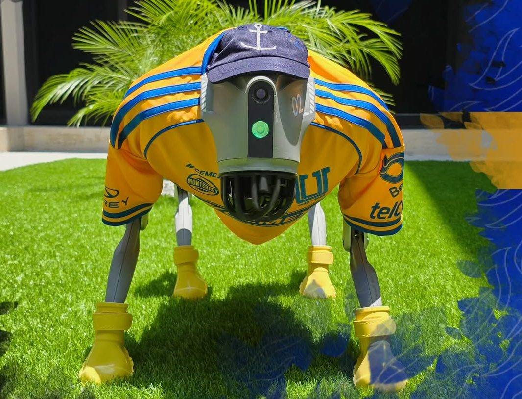 A robot dog in Mexico teaches the animals on the street to be more gentle