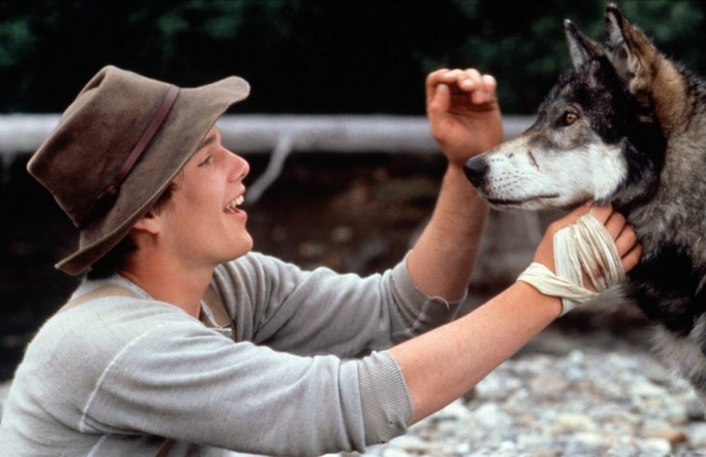 Главное изображение статьи