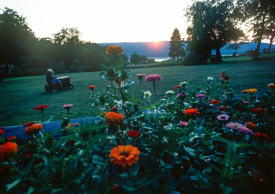 Как работа в саду может улучшить психическое здоровье