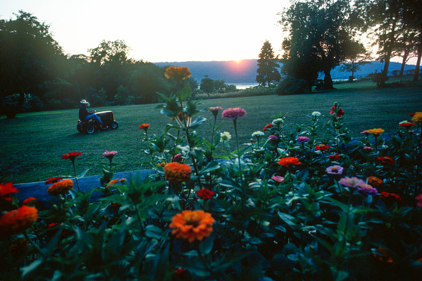 Hidden advantages of horticulture: How can work in the garden improve mental health