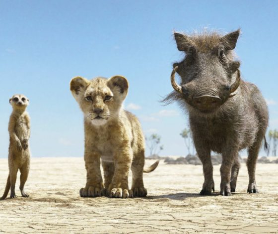 В Дубайском зоопарке нашли двойников Тимона и Пумбы из «Короля льва»