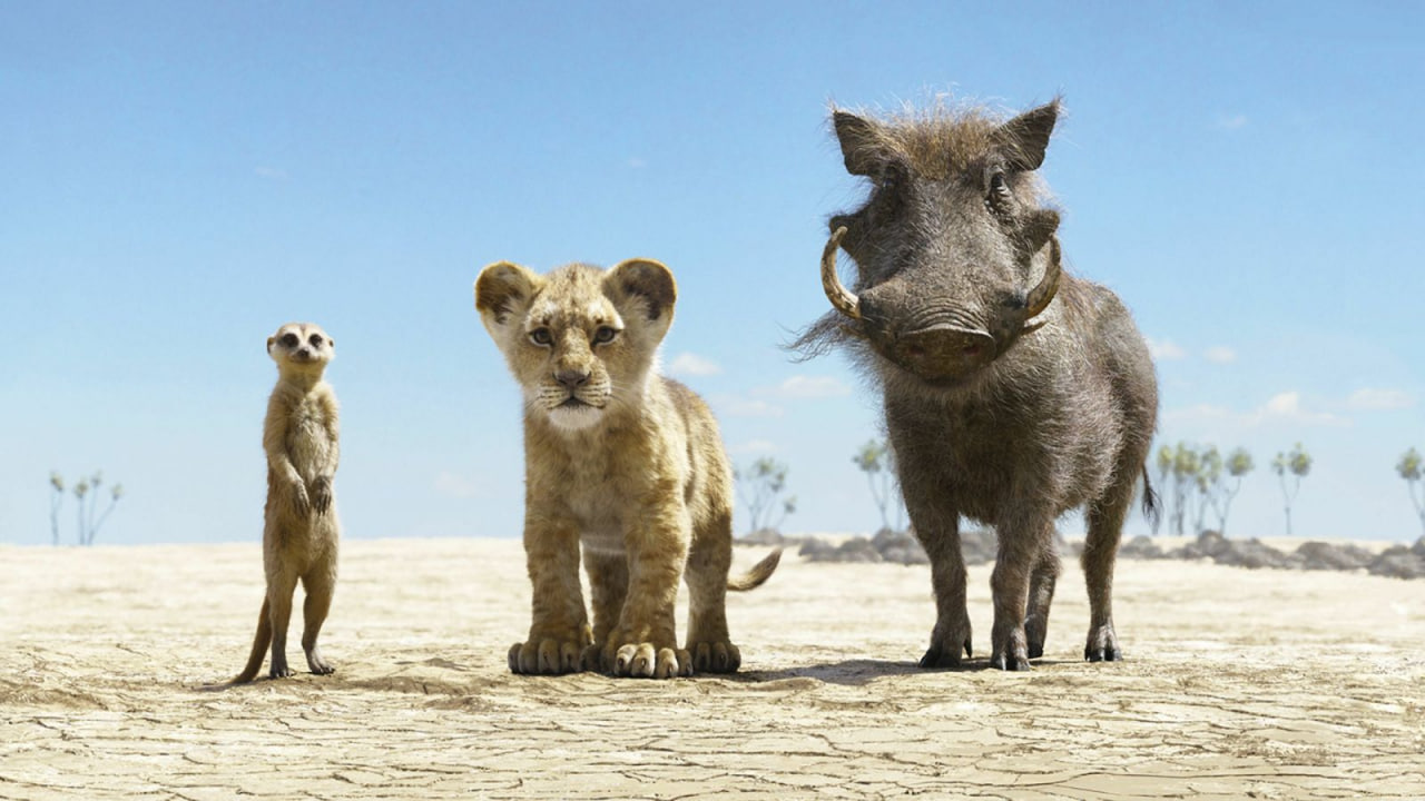 Couples of Timon and Pumba were found at the “King of Leo” in Dubai Zoo.