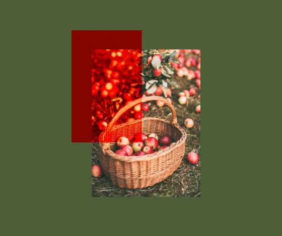 Что можно и нельзя делать в Яблочный Спас