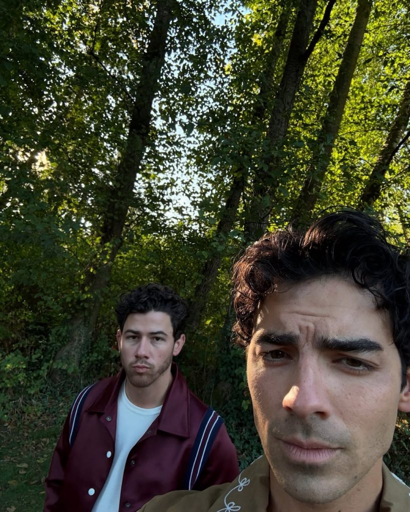 Nick and Joe Jonas. Photo: Social Networks