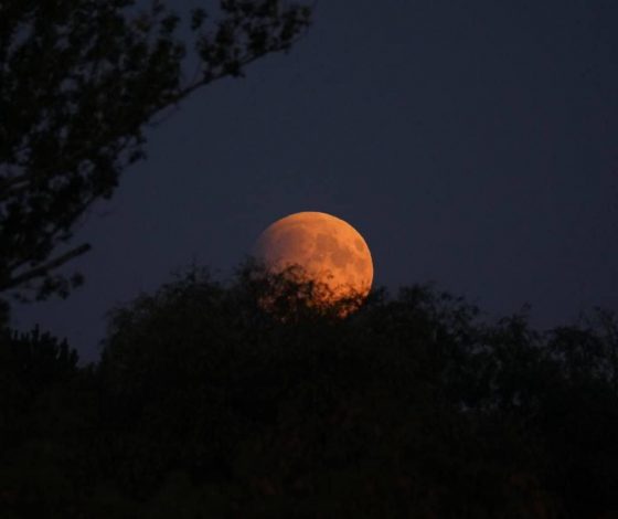 Собрали фотографии лунного затмения со всей страны