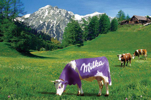 In Germany, they sued the Milka manufacturer for reducing tiles