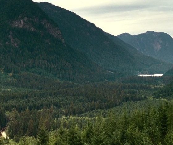 Ученые назвали место с самым чистым воздухом на планете