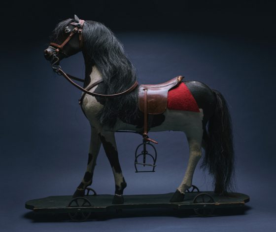 История игрушек: коллекционеры и игрушки