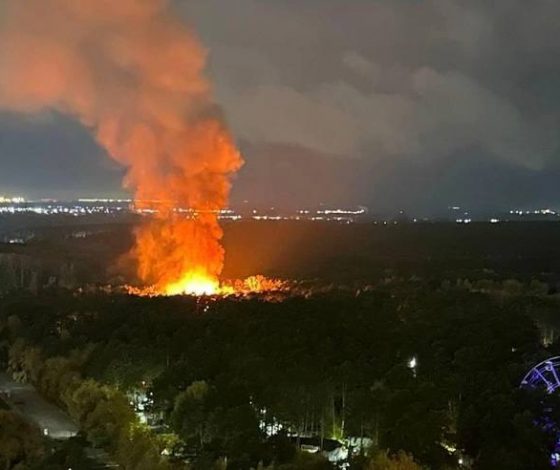 В Новосибирске горит зоопарк: в опасности 12 тысяч животных