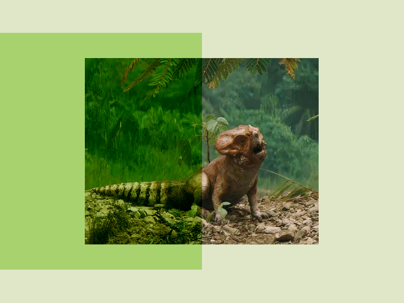 Scientists made a basic discovery thanks to dinosaurs