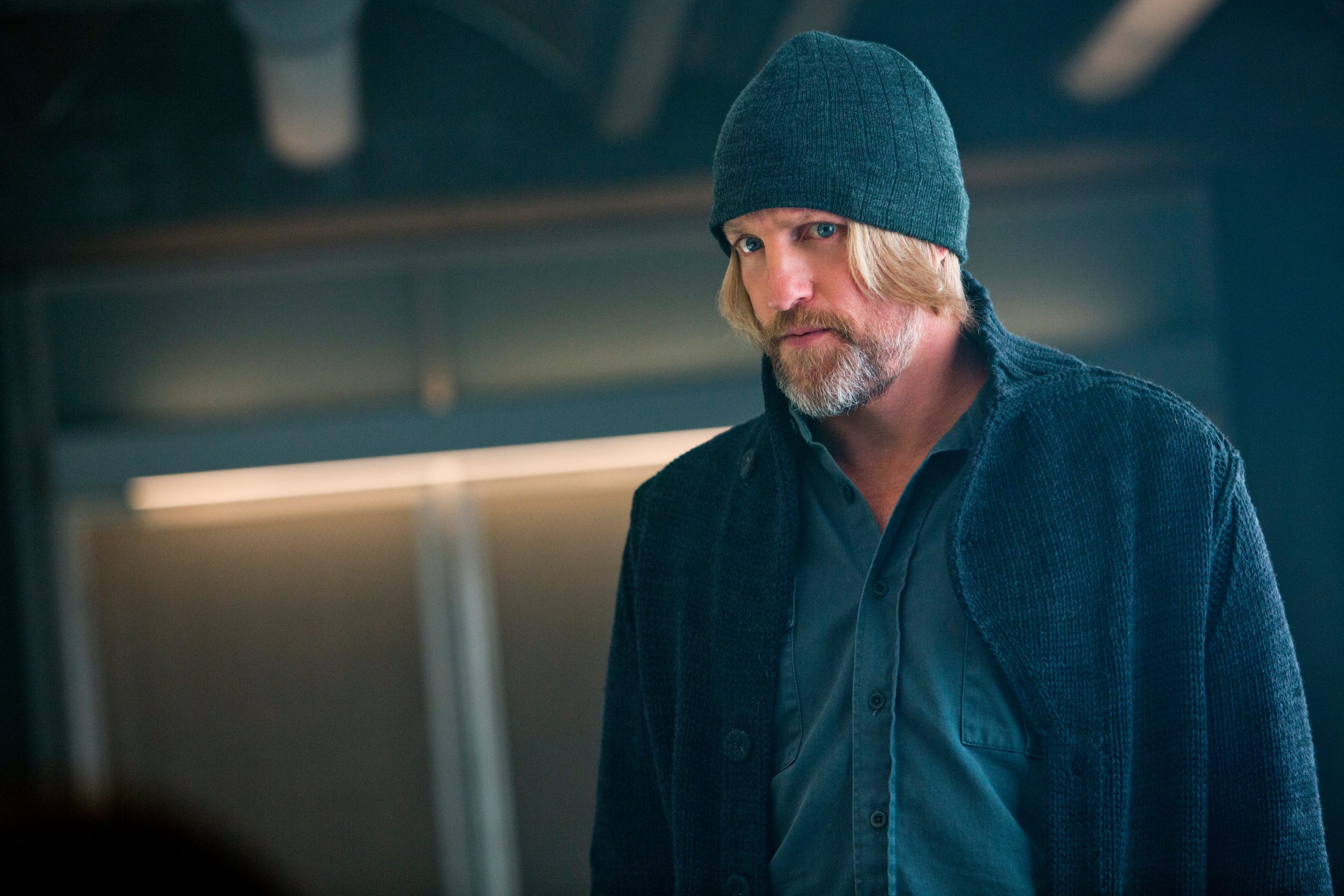 Hunger Games: Harvest Dawn “in Russia in the release date of the film was selected