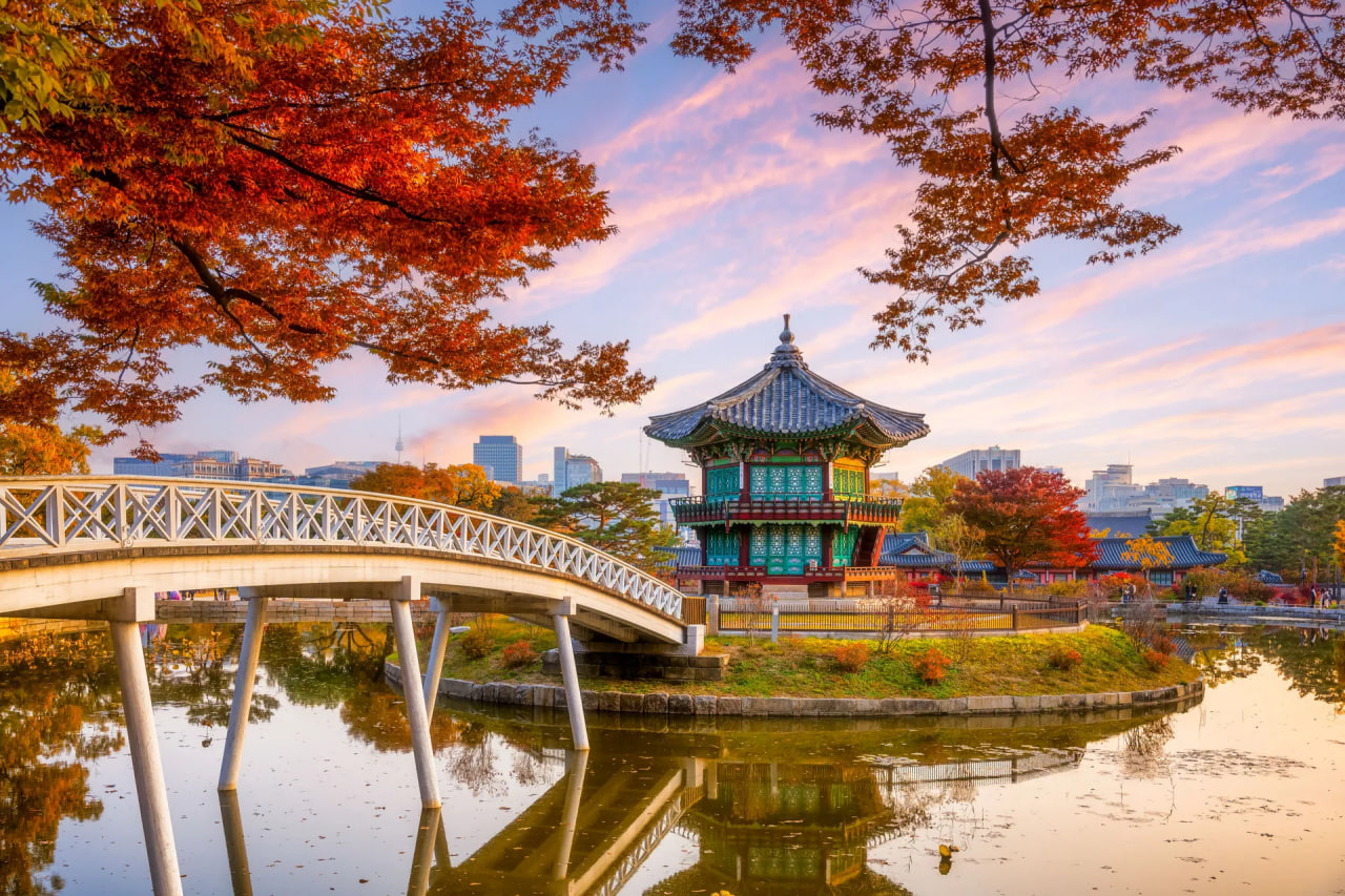 Which city is the most preferred among tourists?