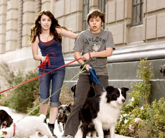 Новое приложение для знакомств объединяет собачников