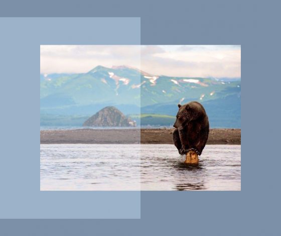 Феномен Долины смерти на Камчатке: почему погибают люди, но выживают медведи