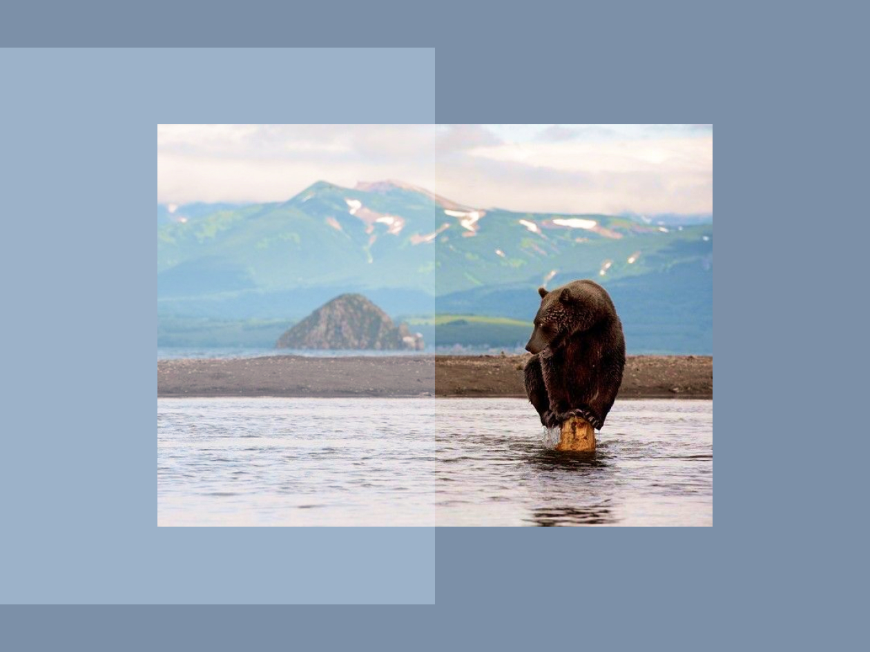 The Death Valley phenomenon in Kamchatka: why people die but bears survive