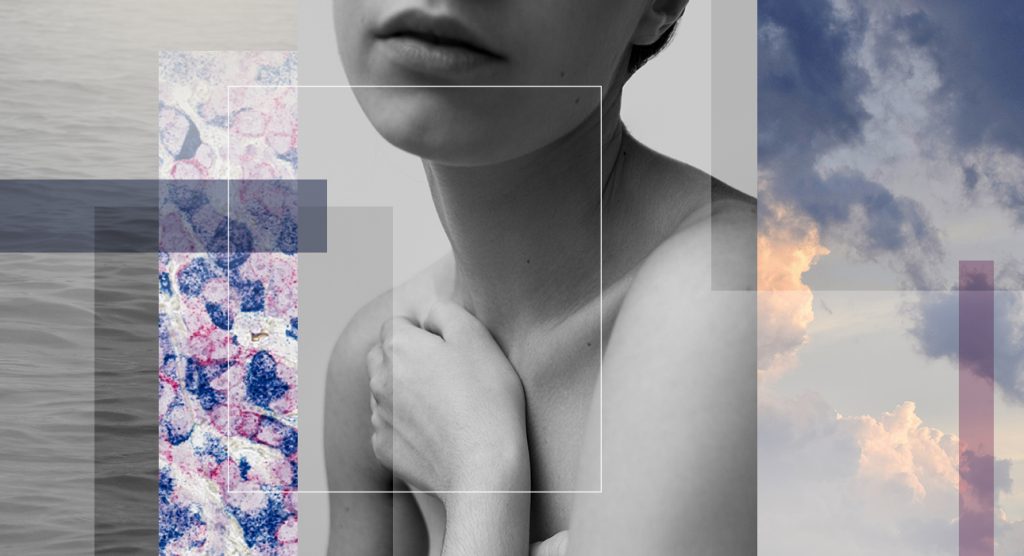 Главное изображение статьи