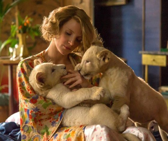 Актеры-животные теряют работу из-за искусственного интеллекта