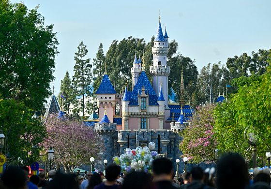В США женщина умерла после посещения Диснейленда