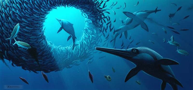 The mystery of a previously unknown prehistoric marine predator has been revealed in Britain.