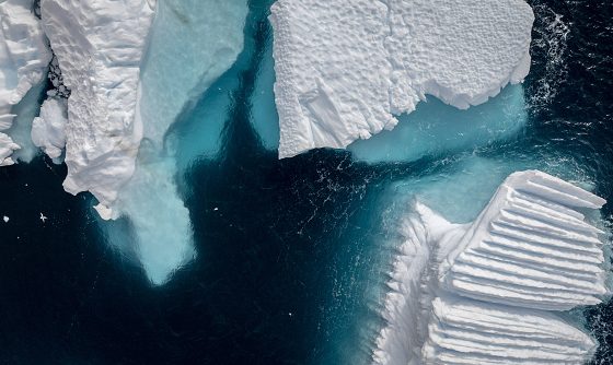 Ученые заявили, что более половины шельфовых ледников Антарктиды могут разрушиться